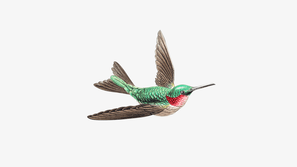 A covert of&nbsp;coots